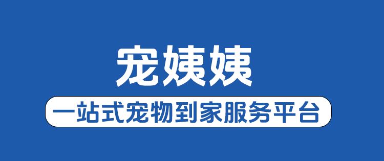 宠姨姨 |宠物到家一站式服务